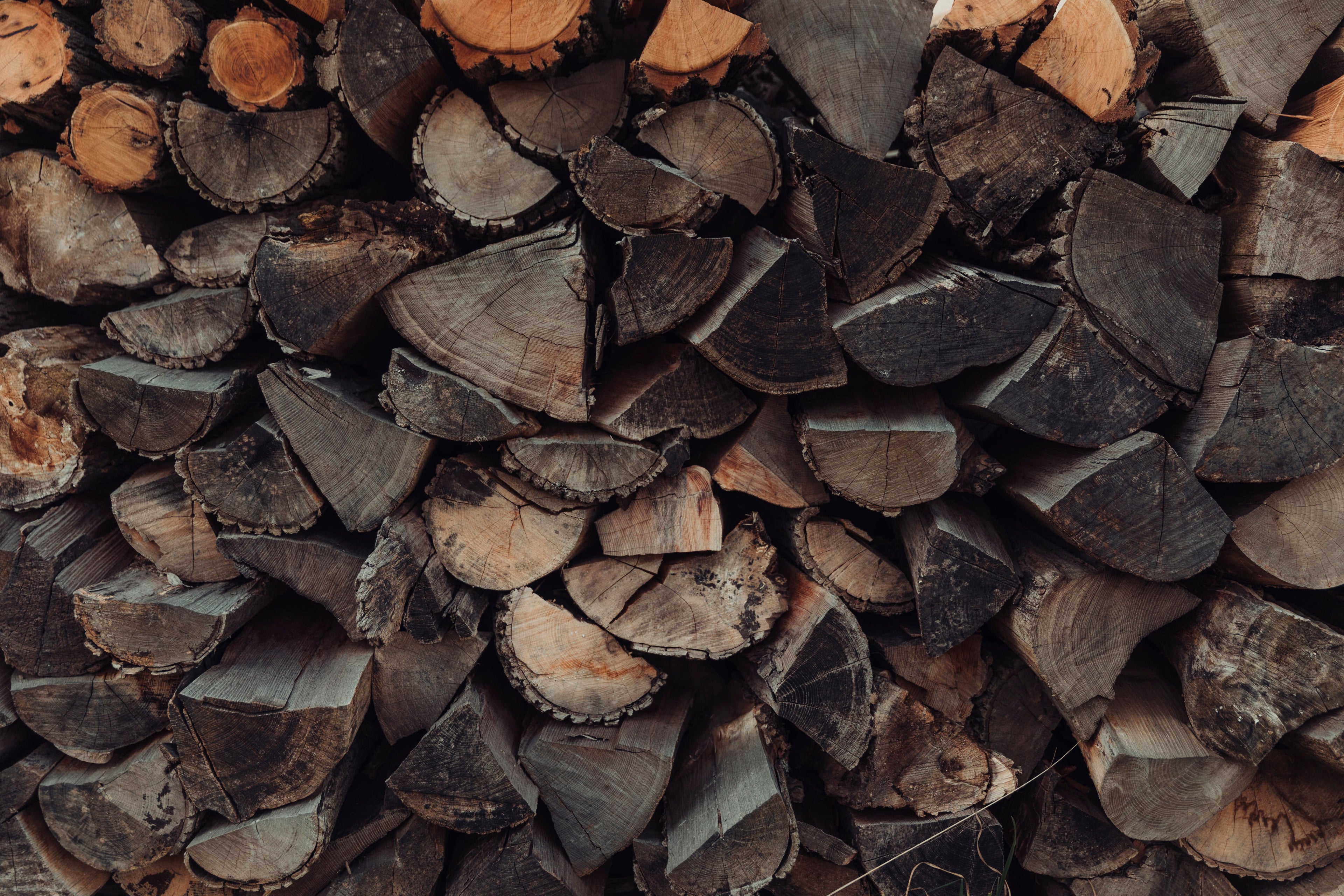 Firewood