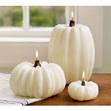 Pumpkins Chicago XLarge White Pumpkin