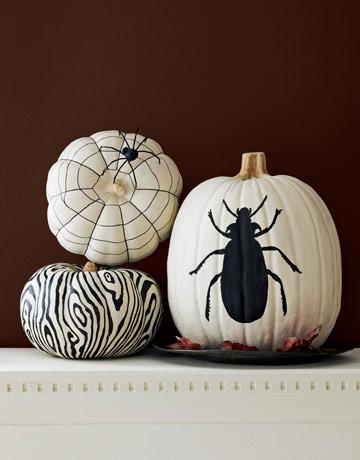 Pumpkins Chicago Large White Pumpkin