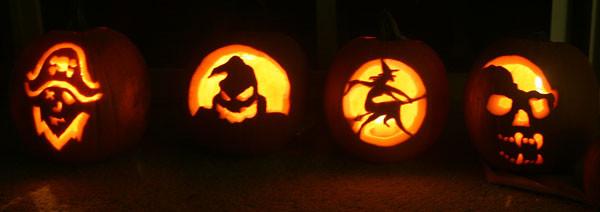Pumpkins Chicago Medium Orange Pumpkins